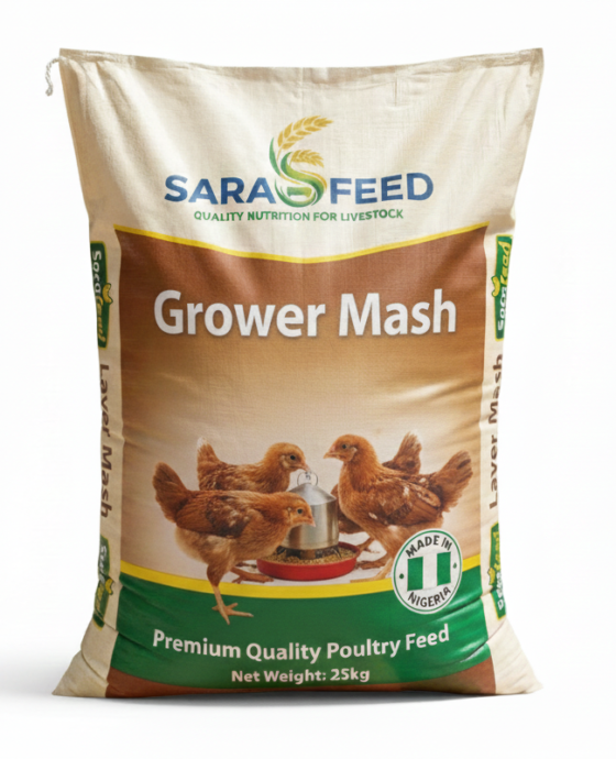 Gemini_Generated_Image_7slb327slb327slb